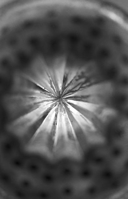 Detail der Zitronenpresse aus Metall